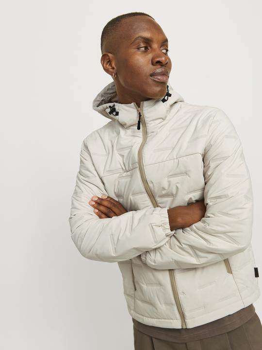 Actual product image Jack & Jones Jcosonic Light Jacket Sn (L)