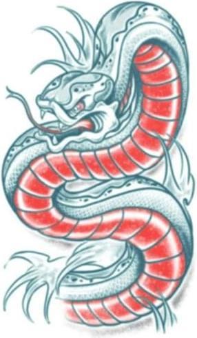 Immagine prodotto Tinsley Transfers Armtattoo Schlange