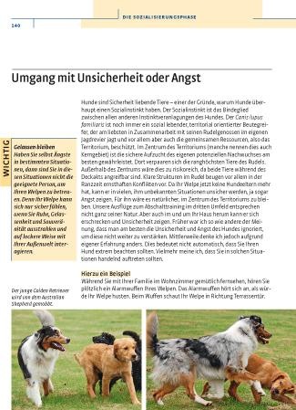 Actual product image Kosmos Vom Welpen zum Familienhund mit Natural Dogmanship (German, Jan Nijboer, 2015)