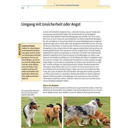 Thumbnail - Vom Welpen zum Familienhund mit Natural Dogmanship, Ratgeber von Jan Nijboer