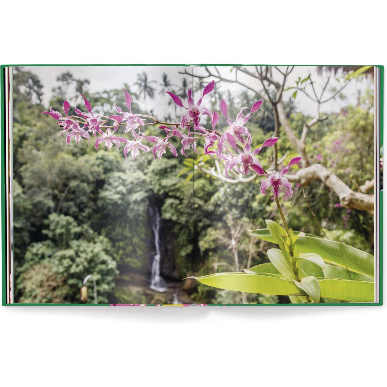 Thumbnail - Floramour: Orchideen, Sachbücher von Anja Klaffenbach