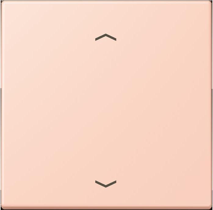 Produktbild JUNG Wippe 1fach m. Pfeilsymb.