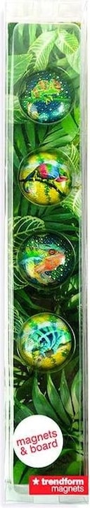 Produktbild Trendform Magnetbrett Story Box Chameleon 5 x 30 cm (1 x)