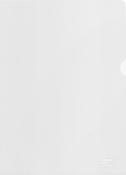 Immagine prodotto Esselte Copertura visiva (220 x 307 mm, 20 x)