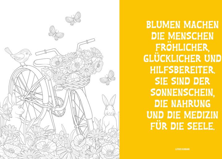 Immagine prodotto Colorful Mandala - Blüten und Schmetter