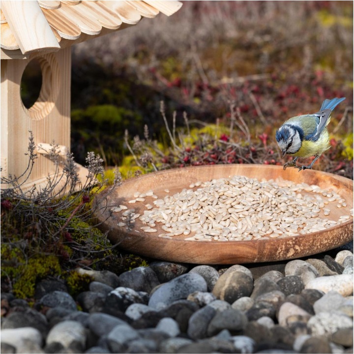 Produktbild Lyra Pet Sonnenblumenkerne geschält (1 x, 25 kg)