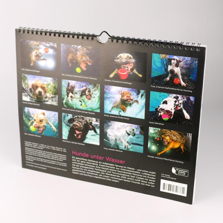 Produktbild Hunde unter Wasser 2025