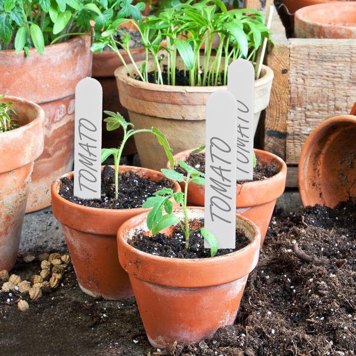 Produktbild Relaxdays Stecketiketten (13 cm, 1.50 cm)