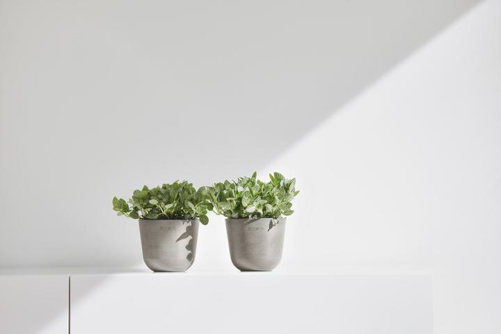 Immagine prodotto Ecopots Oslo Mini (11.50 cm)