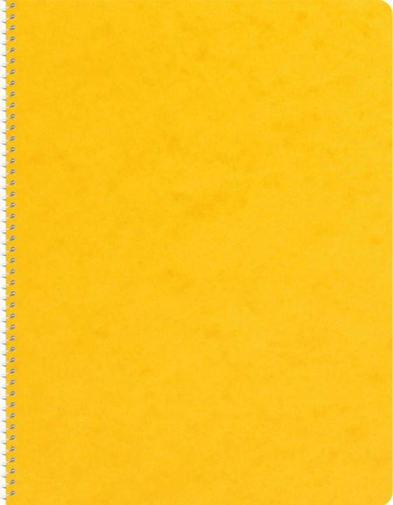Produktbild Novooo Spiralheft assortiert (A5, Kariert, Weicher Einband)