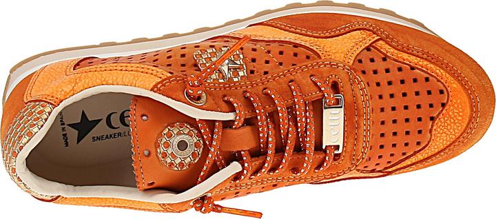 Image du produit Cetti C-848 SRA V25-26 (41)