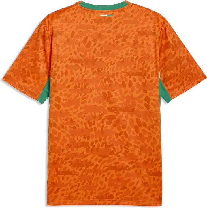 Actual product image Puma FIF Home Jersey Replica (M)