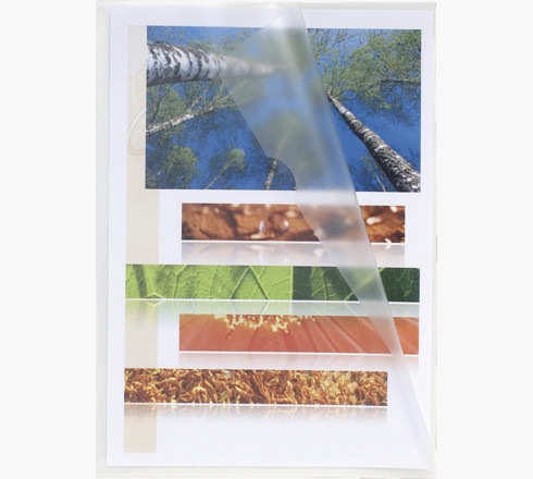 Image du produit Exacompta Pochette transparente (A4, 100 x)