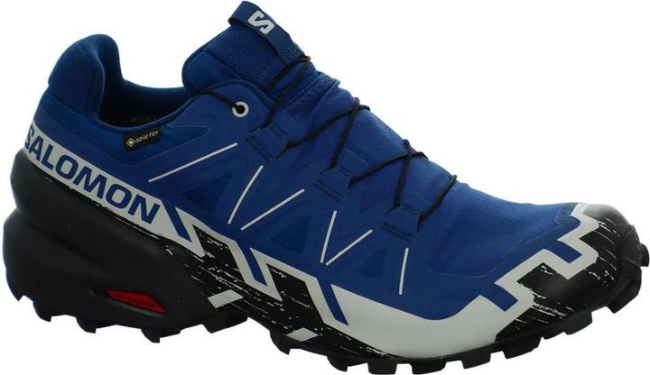 Actual product image Salomon Speedcross 6 GTX - 68434 (44 2/3)
