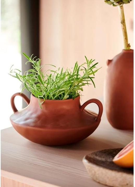 Actual product image Villa Collection Vase with handles 15.5 cm, terracotta