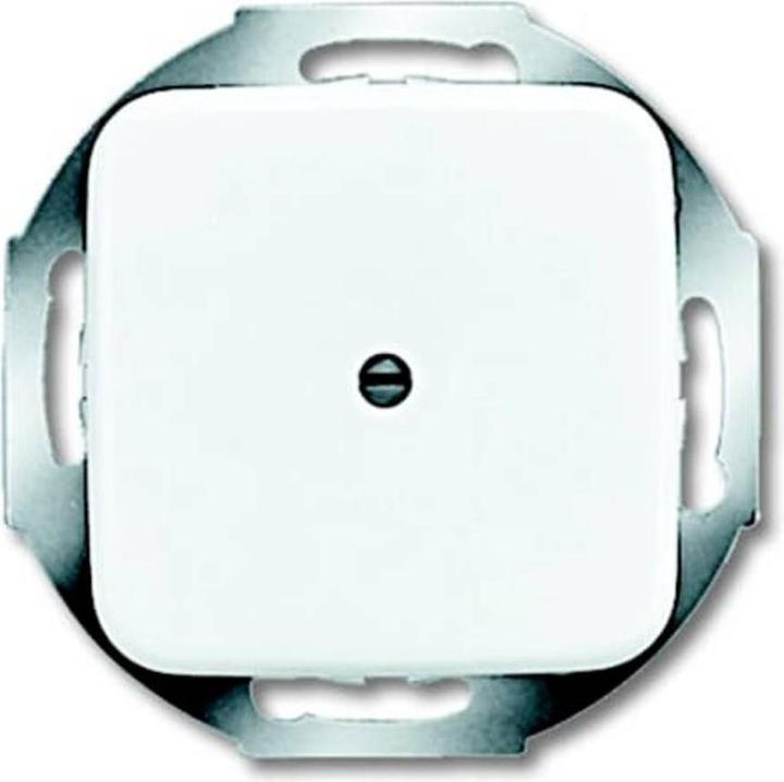 Actual product image Busch-Jaeger Central disk