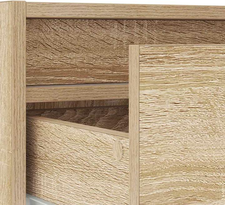 Image du produit vidaXL TV-Schrank (100 x 35.50 x 25 cm)
