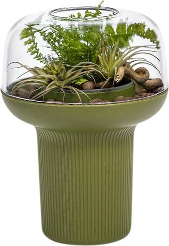 Actual product image Plastia Pot pour plantes Humidarium 26.5x20 cm