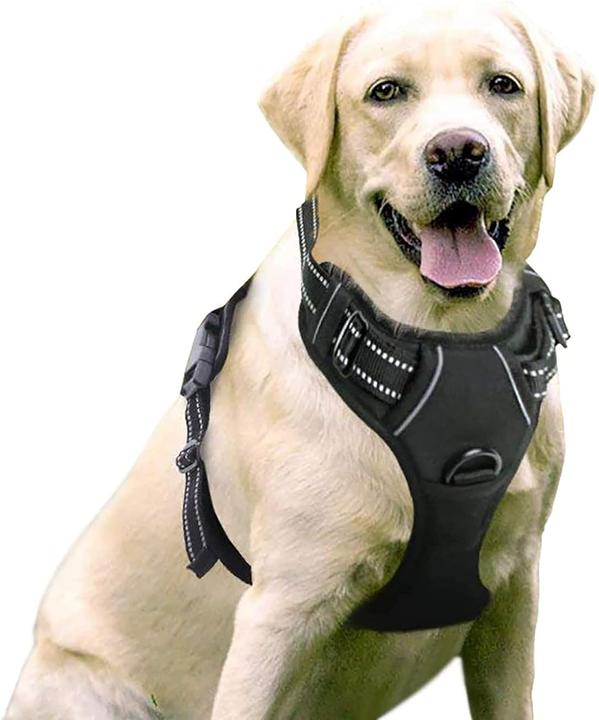 Actual product image Rabbitgoo No-pull dog harness (L, Dog, General)