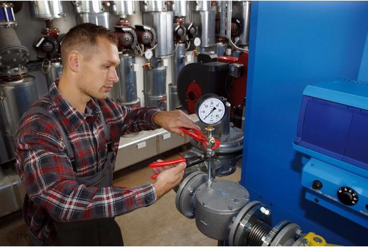 Actual product image Rothenberger Water pump pliers 250 mm 70528 (250 mm)