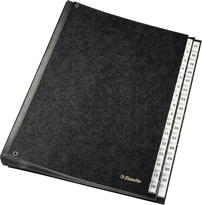 Immagine prodotto Leitz Cartella da tavolo Esselte 1-31, 31 scomparti, cartone rigido, nero (A4, 1 x)
