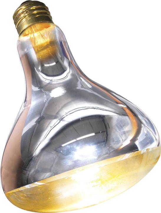 Immagine prodotto Zoo Med SL250E