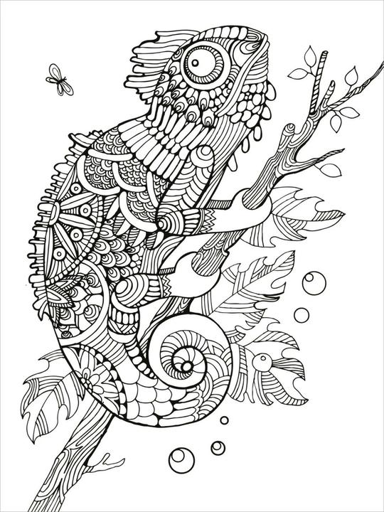 Actual product image My Mandala Animal Colouring Book