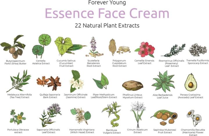 Actual product image Miverum Forever Young Miracle 20 Face Cream (50 ml, 24h cream)