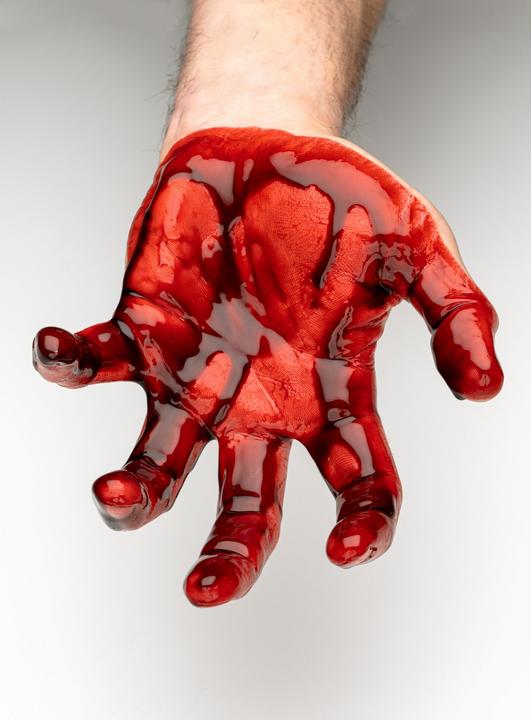 Produktbild Metamorph Production Kunstblut Flasche 250 ml – Filmblut