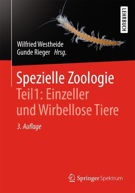 Produktbild Spezielle Zoologie. Teil 1: Einzeller und Wirbellose Tiere (Deutsch, Westheide, Wilfried/Rieger, 1996)