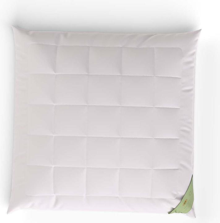 Immagine prodotto Erzstef Cuscino Bali in bambù (65 x 65 cm)