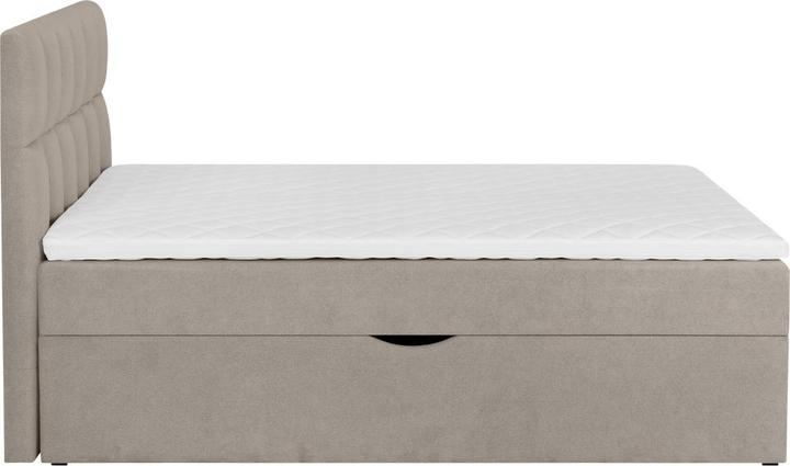 Immagine prodotto Livetastic Lorie (180 x 200 cm)