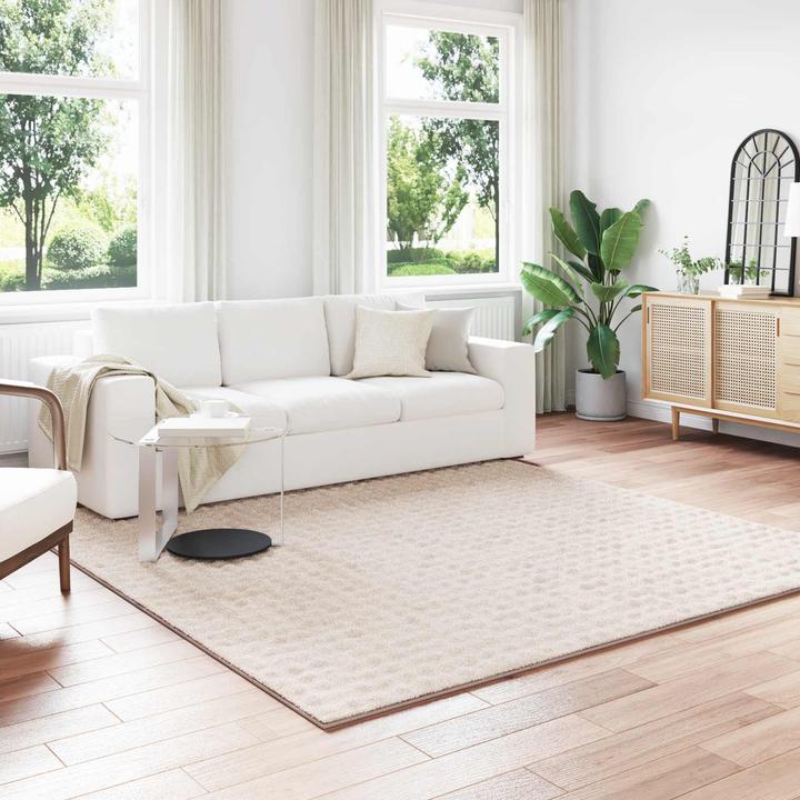 Produktbild vidaXL Moderner Teppich (240 x 240 cm)