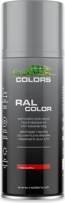Actual product image Colors Spray can (Silver, 0.40 l)