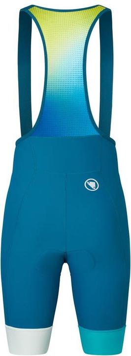 Actual product image Endura Loop Bibshort (M)