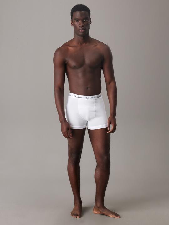 Image du produit Calvin Klein Trunk (L, Lot de 3)