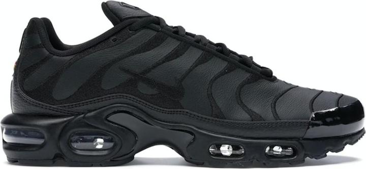 Image du produit Nike Air Max Plus (45.5)