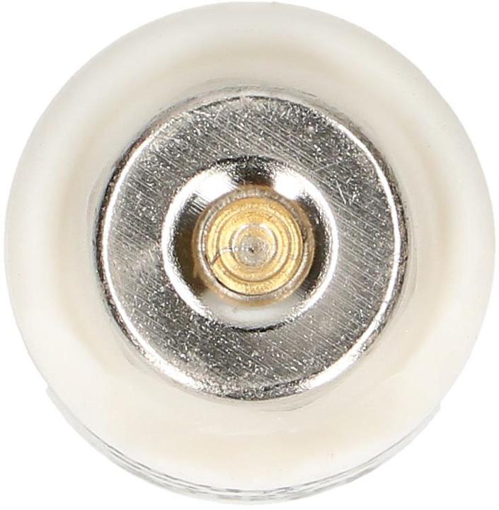 Actual product image Max Hauri Fuse (25 A)