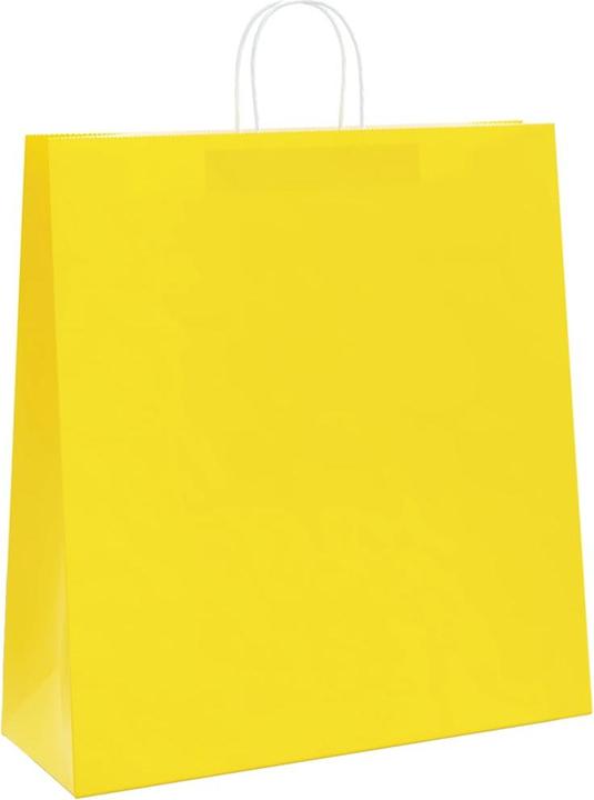 Image du produit vidaXL Papiertragetasche (250x)