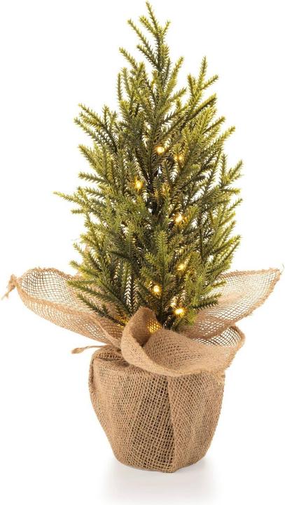 Produktbild STT Nordic Tree