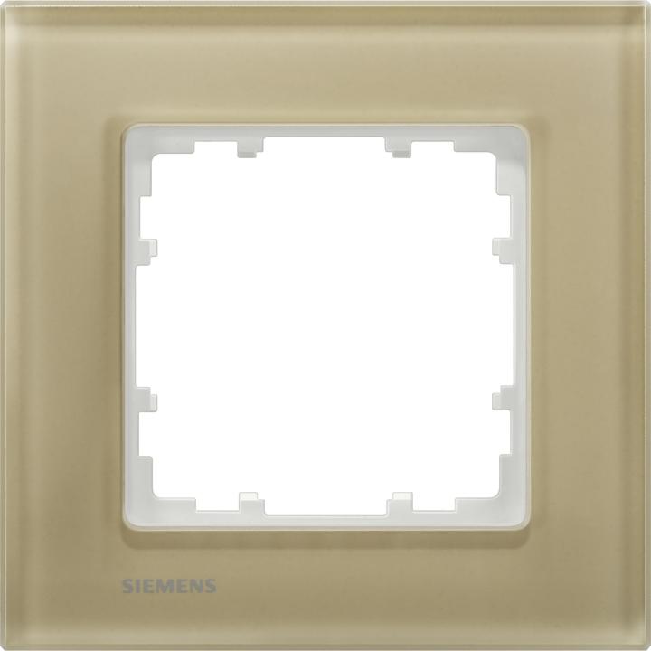 Actual product image Siemens Frame 1f arena glz DELTAmiro glass 5TG1201-4