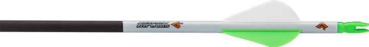 Actual product image Skylon Archery 30" Carbon Fastwing Strong 100-pack
