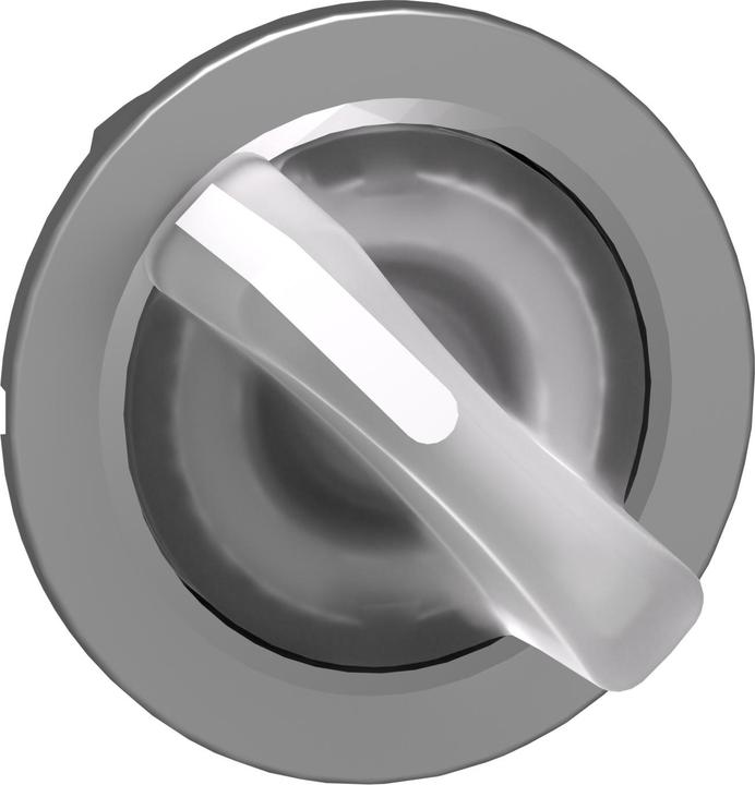 Immagine prodotto Schneider Electric Elemento frontale per selettore illuminato ZB4F Ř ZB4FK1213