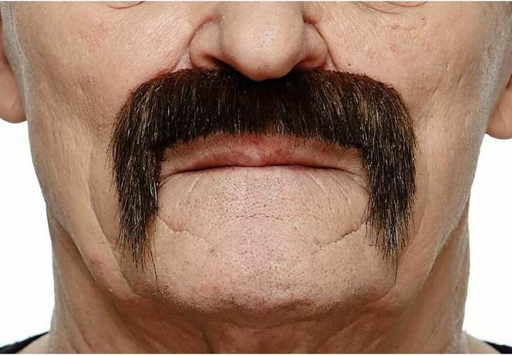 Produktbild My Other Me Schnurrbart