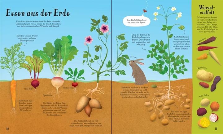 Image du produit So wächst unser Essen! (Allemand, Emily Bone., 2018)