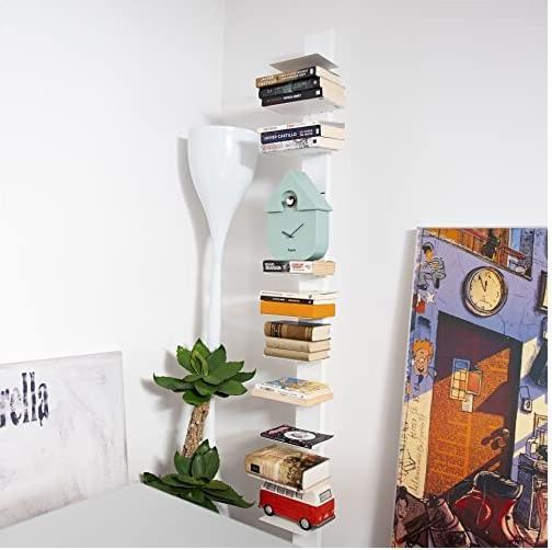 Actual product image Fisura Cuckoo