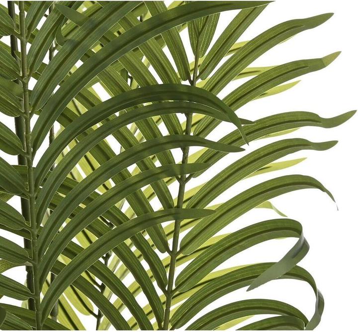 Immagine prodotto DKD Home Decor Dekorationspflanze Palme (100 X 100 X 240 Cm)