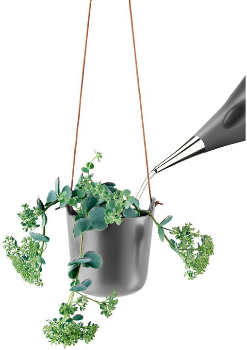 Actual product image Eva Solo Herbal Pot (15 x 16 cm)