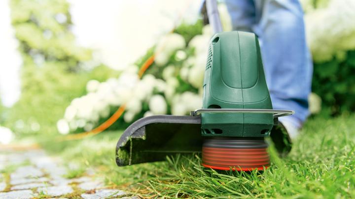 Immagine prodotto Bosch Home & Garden Tagliaerba elettrico EasyGrassCut 26 (Filo di taglio)