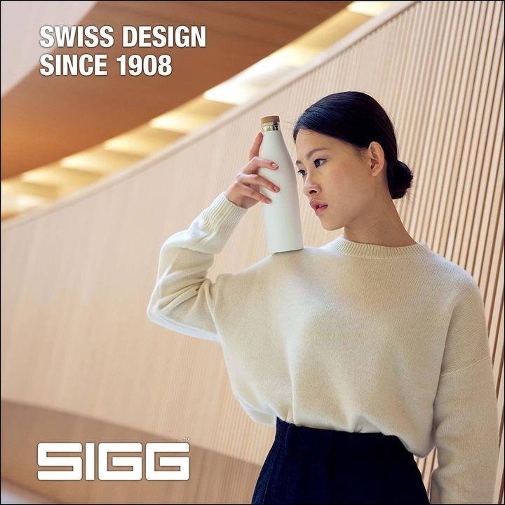 Actual product image Sigg Meridian Brushed (0.70 l)